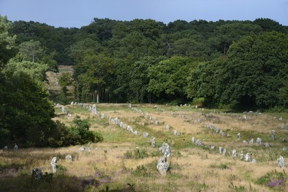 France, Morbihan (56), Carnac, alignement mégalithique de Kermario