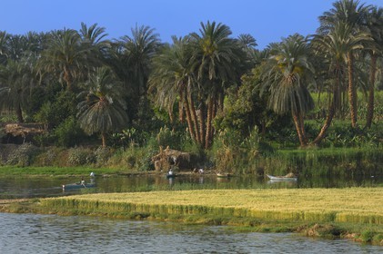 Egypte, Haute Egypte, vallée du Nil, barque de pêcheur sur le Nil entre Louxor et Esna