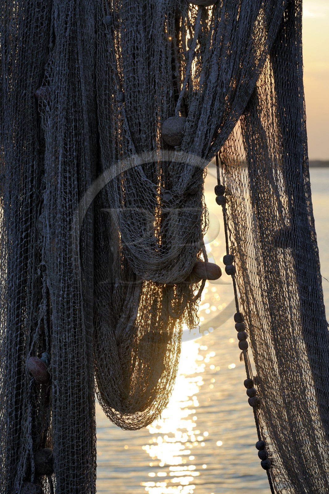 France, Hérault (34), Sète, quartier de la Pointe Courte, village de pêcheurs donnant sur l'étang de Thau, filets de pêche