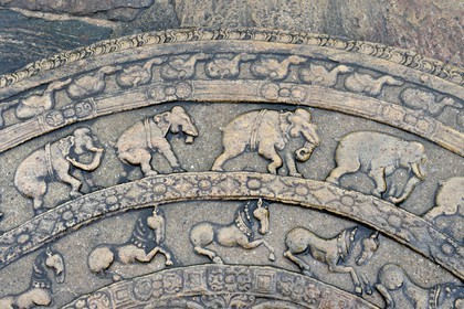 Sri Lanka,  North Central province, Polonnaruwa, the former capital of the country (11th to 13th century) listed as World Heritage by UNESCO,  terrace of the tooth's relic, Vatadage (relics room), semicircle moonstone (sandakada Pahana)