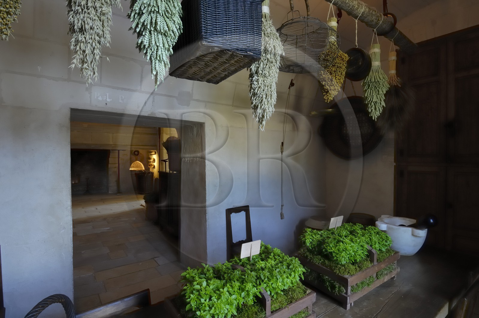 France, Indre-et-Loire (37), château de Chenonceau, les cuisines