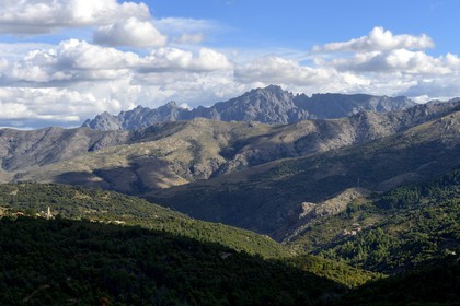 France, Haute-Corse (2B), Balagne, vallée du Giussani dans le parc naturel régional, la forêt de Tartagine et l'église Santa-Maria Assunta sur la commune de Pioggiola
