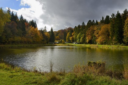 France, Meuse, Lorraine Regional Park, Cotes de Meuse, Dommartin-la-Montagne, the Longeau ponds