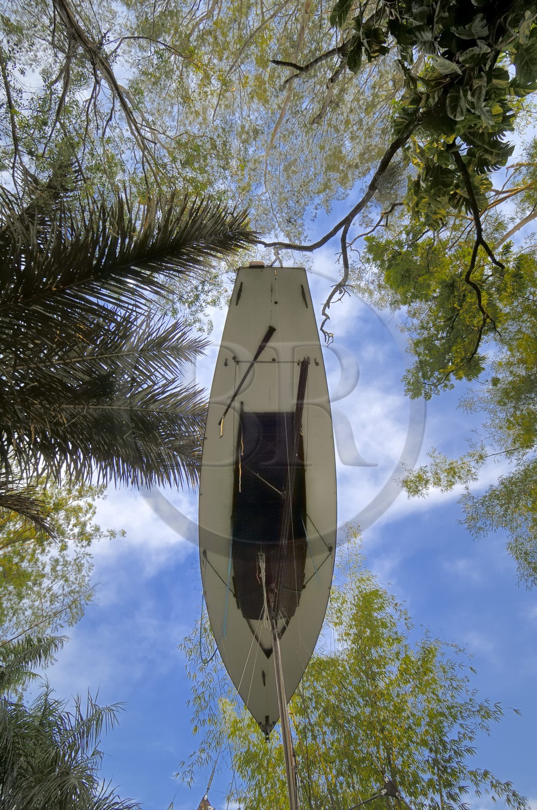 Brésil, Etat du Minas Gerais, région de Belo Horizonte, Brumadinho, centre d'art contemporain Inhotim, The Mahogany Pavilion (Mobile Architecture N°1) (2004) de Simon Starling