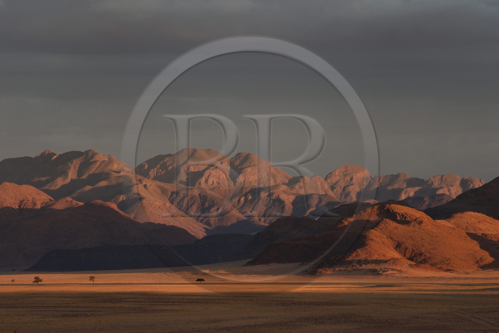 Namibie, région de Hardap, désert du Namib à l'Est du parc national Namib Naukluft vers Sossusvlei