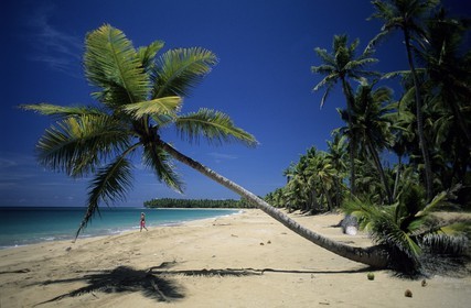 République Dominicaine, péninsule de Samana, plage sauvage et déserte El Limon près de Miches