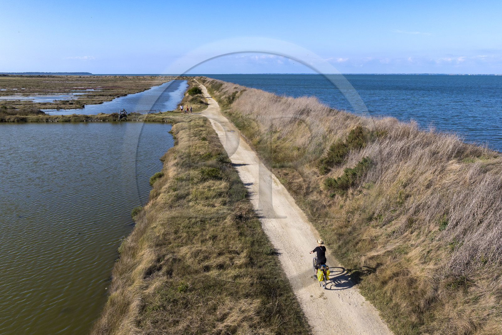 France, Vendée (85), île de Noirmoutier, Barbatre, cyclistes sur la digue de la côte Est dans la Réserve Naturelle du Polder de Sebastopol (vue aérienne)