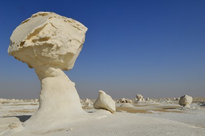 Egypte, désert libyque, le Désert Blanc au nord de Farafra