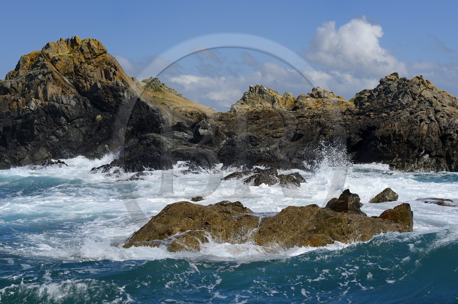 France, Côtes-d'Armor (22), Perros-Guirec, Ile Tomé