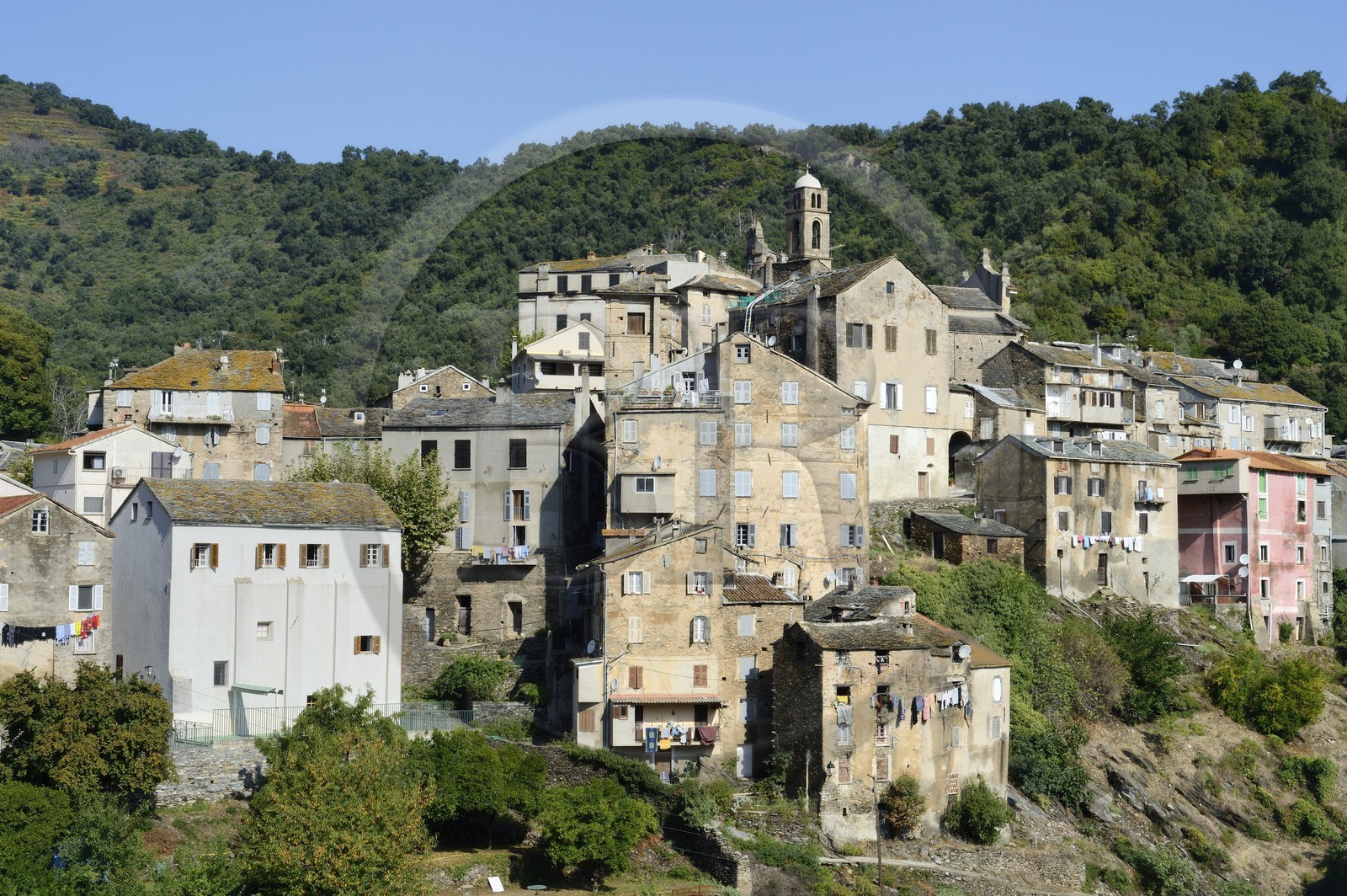 France, Haute-Corse (2B), région de la Casinca en Castagniccia, village peché de Vescovato