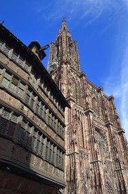 France, Bas-Rhin (67), Strasbourg, vieille ville classée au Patrimoine Mondial de l'UNESCO, la Maison Kammerzell et la cathédrale Notre-Dame