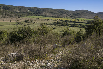 France, Hérault (34), les Causses et les Cévennes, paysage culturel de l'agro-pastoralisme méditerranéen inscrit au Patrimoine Mondial de l'UNESCO, Saint-Maurice-Navacelles, paysage typique du causse du Larzac et le massif de la Séranne qui s'est formé sur une barrière corallienne en arrière plan (vue aérienne)
