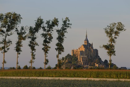 France, Manche (50), Mont-Saint-Michel, classé Patrimoine Mondial de l'UNESCO, et les polders, culture du maîs