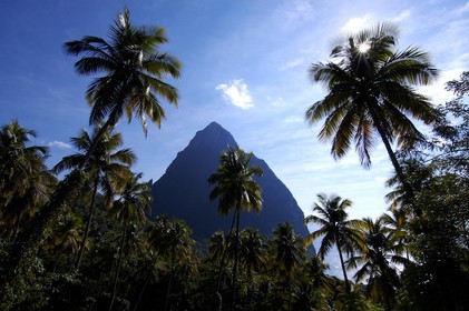 Caraïbes, île de Sainte-Lucie, Petit Piton à Soufrière, un des symbole de l'île