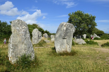 France, Morbihan (56), Erdeven, alignement mégalithique de Kerzérho