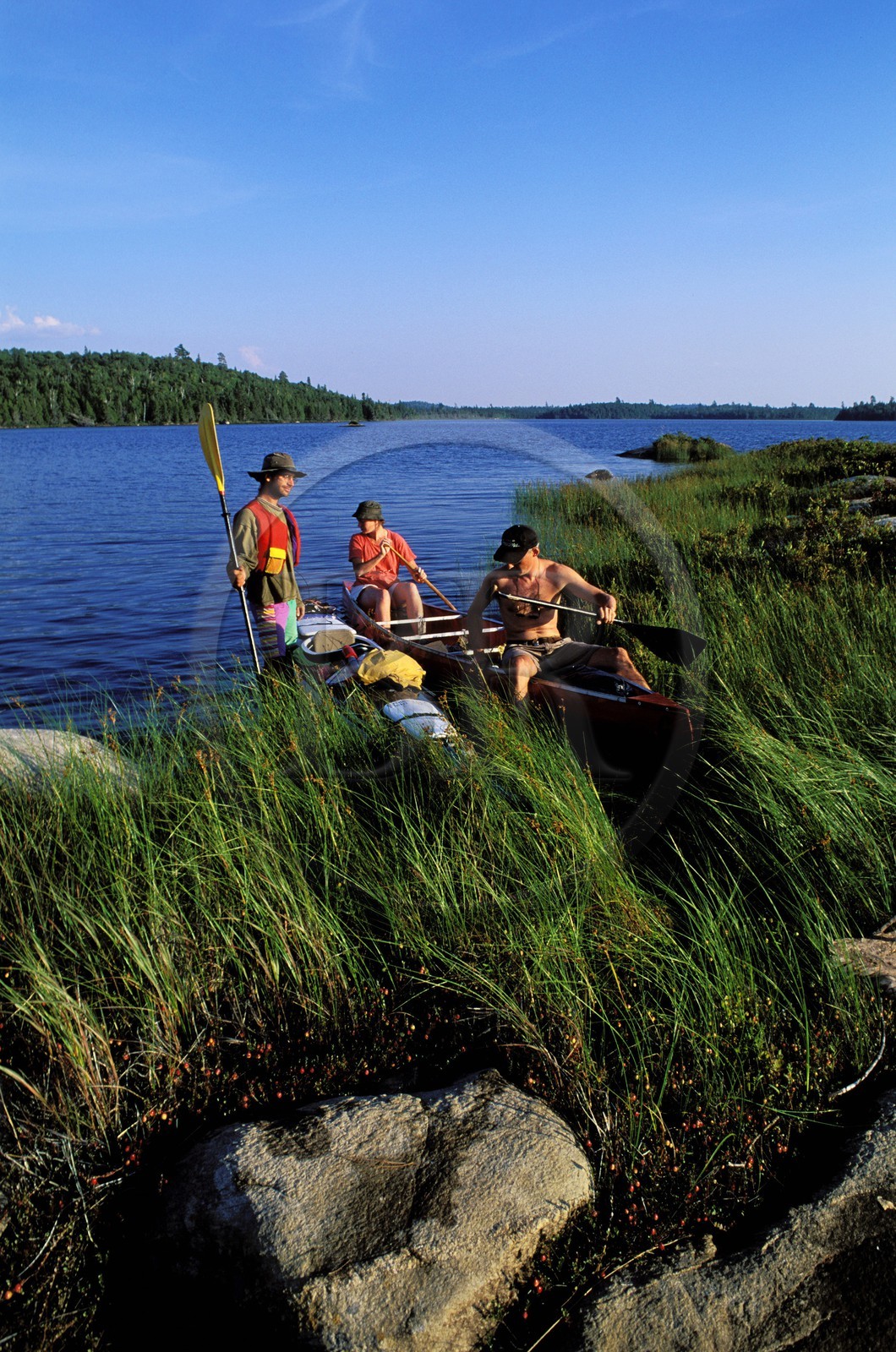 Canada, Quebec Province, La Verendrye Wildlife Reserve, a stop on one of the islands of the Big Lake Victoria