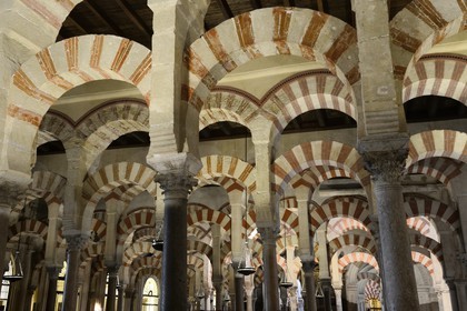 Spain, Andalusia, Cordoba, historical center listed as World Heritage by UNESCO, Mezquita, the Mosque cathedral, the forest of arches and colonnades illustrates the monumentality of the Umayyad Art of Cordoba