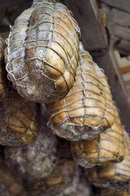 Italie, Emilie-Romagne, Polesine Zibello aux environs de Parme, Antica Corte Pallavicina, culatello, traditionnel jambon de Parme