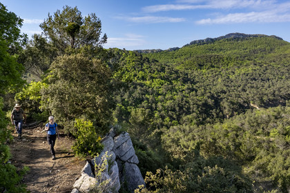 France, Vaucluse (84), Dentelles de Montmirail, Crestet, la crête de Saint-Amand vue du Sud depuis le GR de Pays vers la Croix de Verrière (vue aérienne)