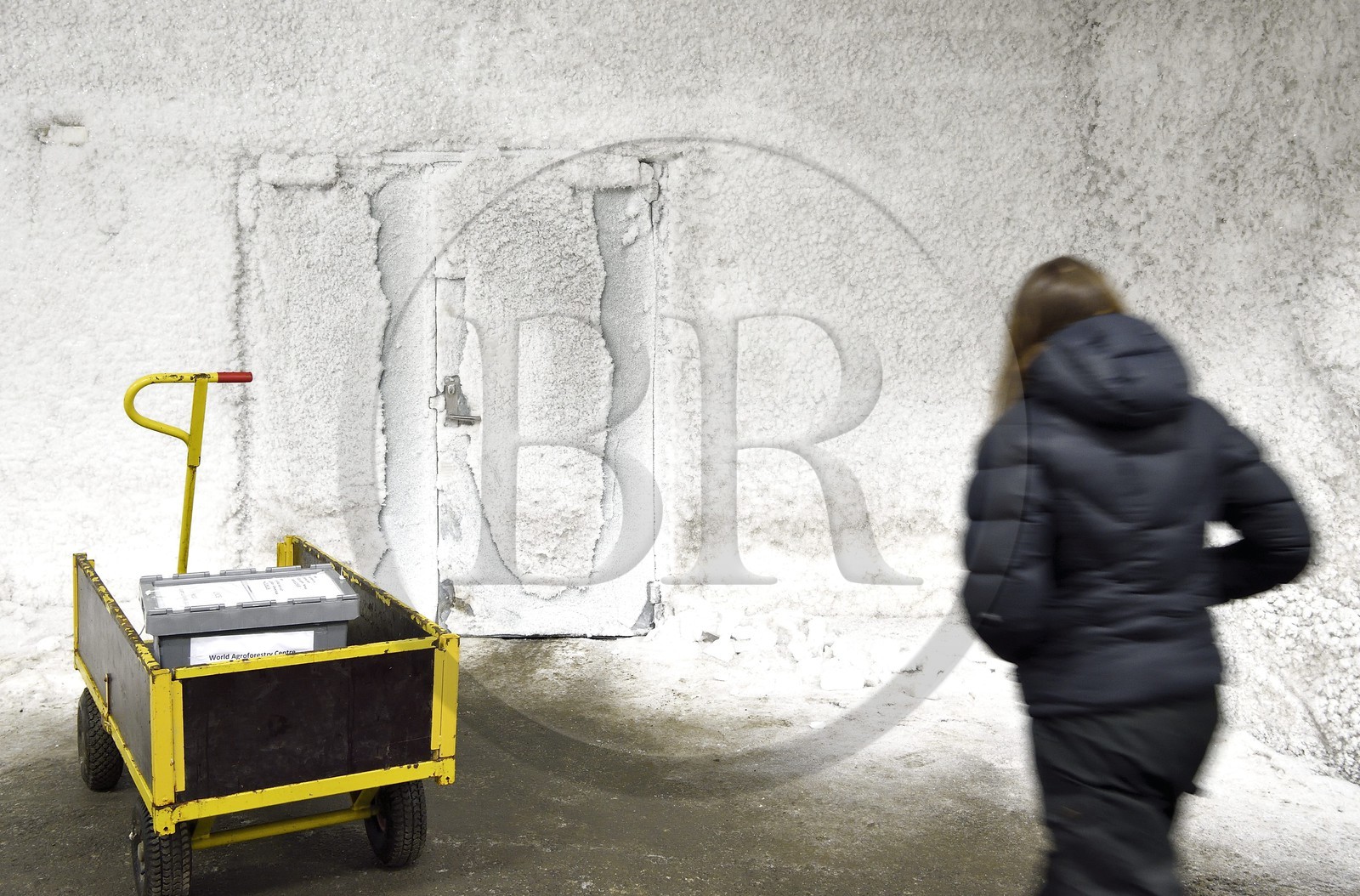 Norway, Svalbard, Spitzbergen, Longyearbyen, Svalbard Global Seed Vault (Seed Bank), antechamber of the 3 storage areas dug in the rock and at a constant temperature of -4°C provided by the permafrost, access door at the storage room artificially maintained at -18°C