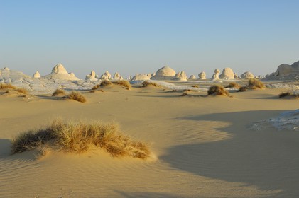 Egypt, Libyan Desert, the White Desert North of Farafra