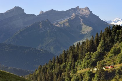 Suisse, canton de Vaud, Villars-sur-Ollon, train qui rejoint la gare du col de Bretaye