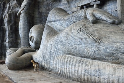 Sri Lanka,  North Central province, Polonnaruwa, the former capital of the country (11th to 13th century) listed as World Heritage by UNESCO, huge buddha cut in rock of Gal Vihara, reclining Buddha