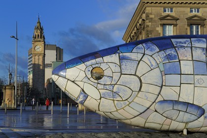 Royaume-Uni, Irlande du Nord, Belfast, le waterfront  au bord de la rivière Lagan, le The Big Fish de John Kindness sur Donegall Quay et la Clock Tower (la tour de l'Horloge)