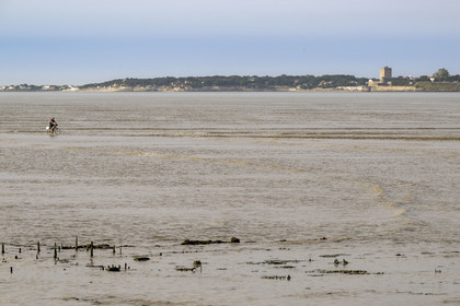 France, Charente Maritime, Port-des-Barques, cyclist using the Passe aux Boeufs tombolo which connects the continent to Ile Madame with rising tide in the background