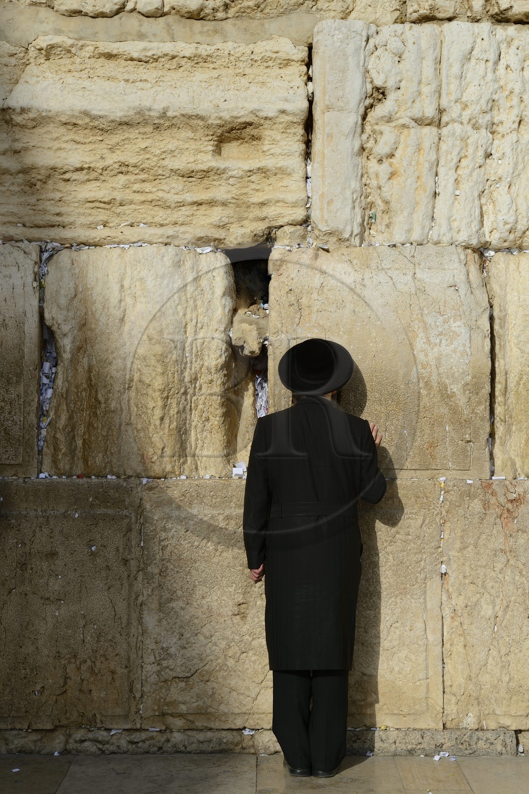 Israel, Jérusalem, ville sainte, vieille-ville classée Patrimoine Mondial de l'UNESCO, Mur des Lamentations ou mur occidental faisant partie des murs de soutènement de l'esplanade du Temple construite par Hérode Ier le Grand, Juif orthodoxe en prière