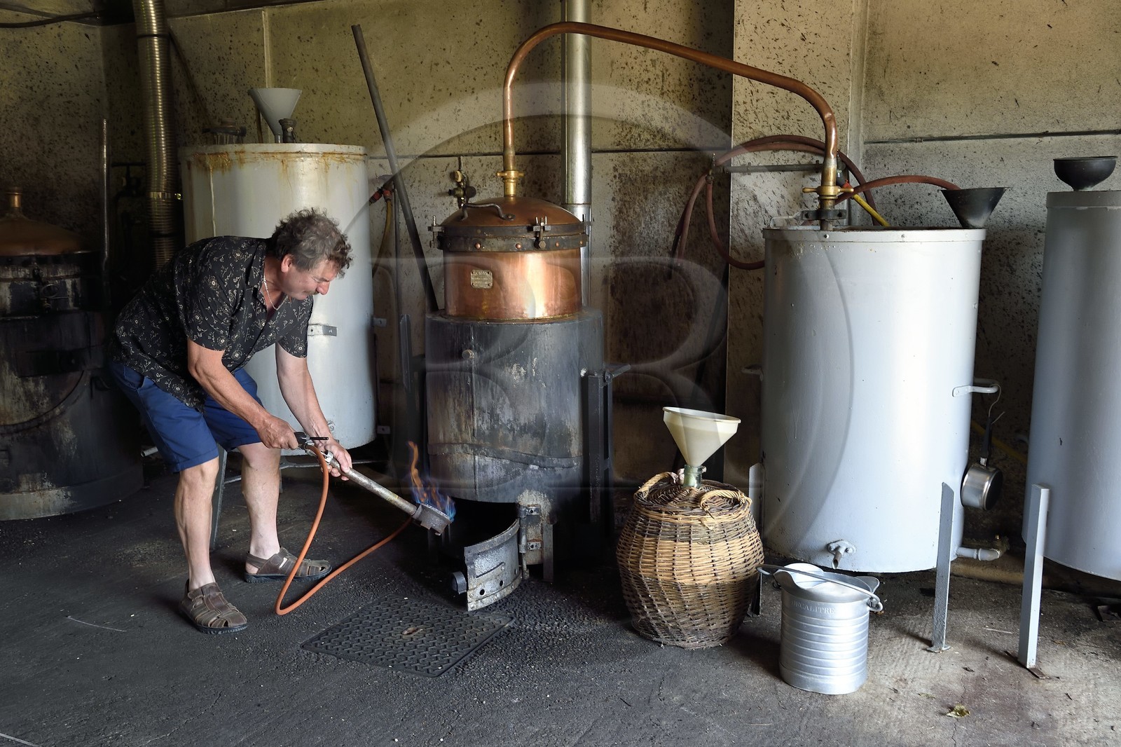 France, Meuse (55), Parc régional de Lorraine, Cotes de Meuse, Combres-sous-les-cotes, Domaine de Muzy, distillation d'eau-de-vie de mirabelle chez Véronique et Jean-Marc Liénard