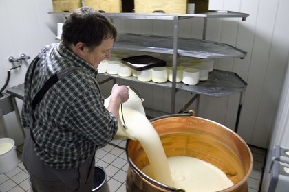 France, Haut-Rhin (68), Wasserbourg, Ferme-auberge Buchwald, le marcaire Michel Wehrey à la fabrication du fromage de munster AOP (lait de vache) dans un chaudron en cuivre