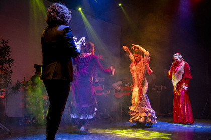 Espagne, Catalogne, Barcelone, City Hall Barcelona, spectacle de danse Flamenco