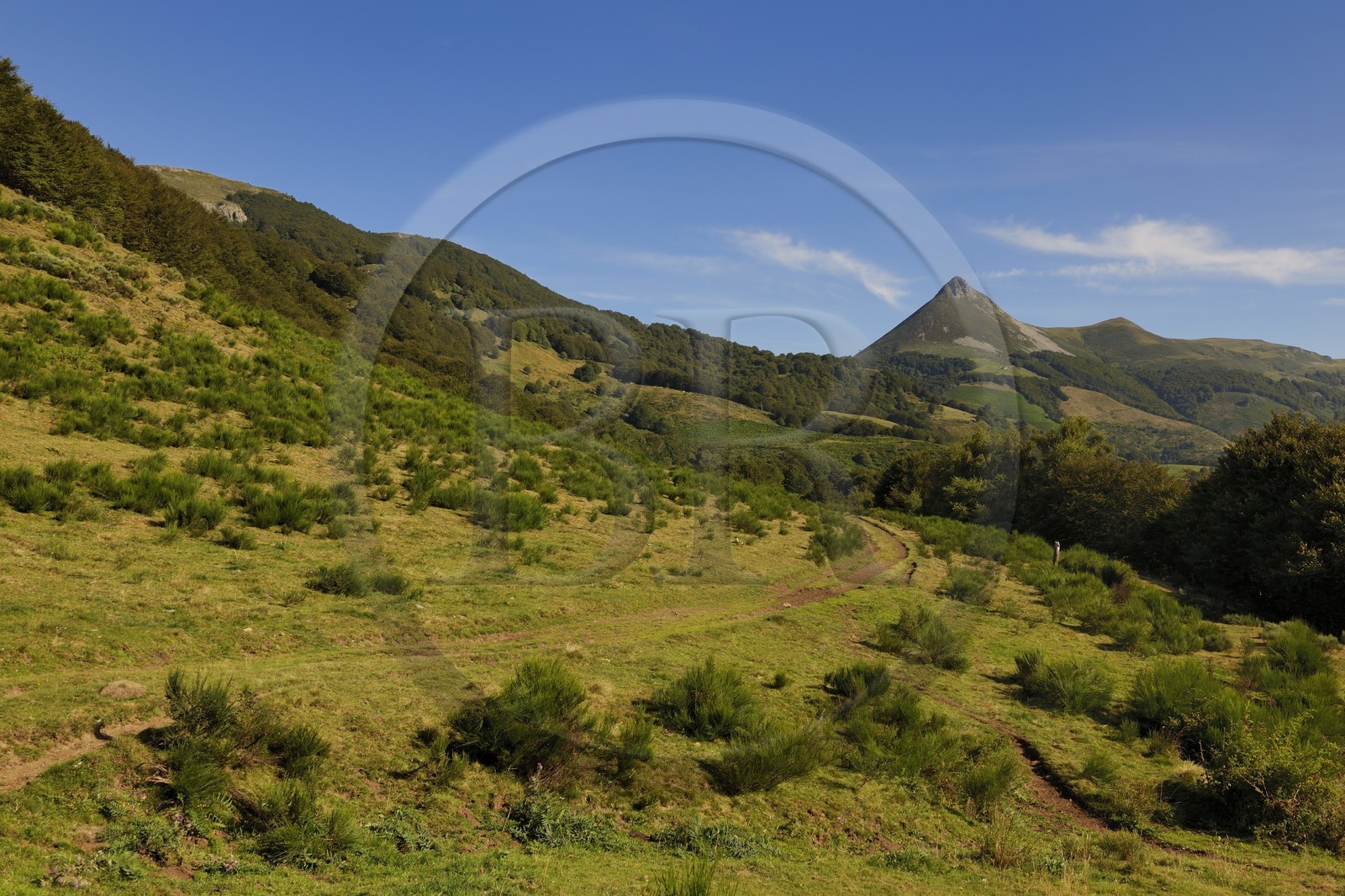 France, Cantal (15), monts du Cantal, Parc Naturel Régional des Volcans d' Auvergne, Saint-Jacques-des-Blats sur le chemin de Saint-Jacques de Compostelle par la Via Arverna, la vallée de la Cère et le Puy Griou (1694m)