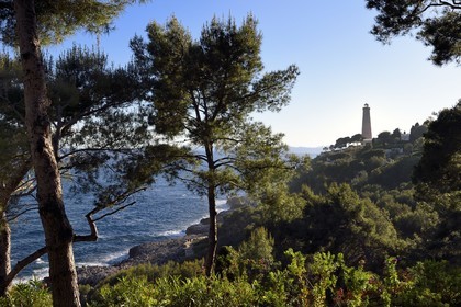 France, Alpes Maritimes (06), Saint-Jean-Cap-Ferrat, le phare du Cap-Ferrat depuis les jardins du Grand-Hotel du Cap-Ferrat, palace 5 étoiles du groupe Four Seasons Hotel