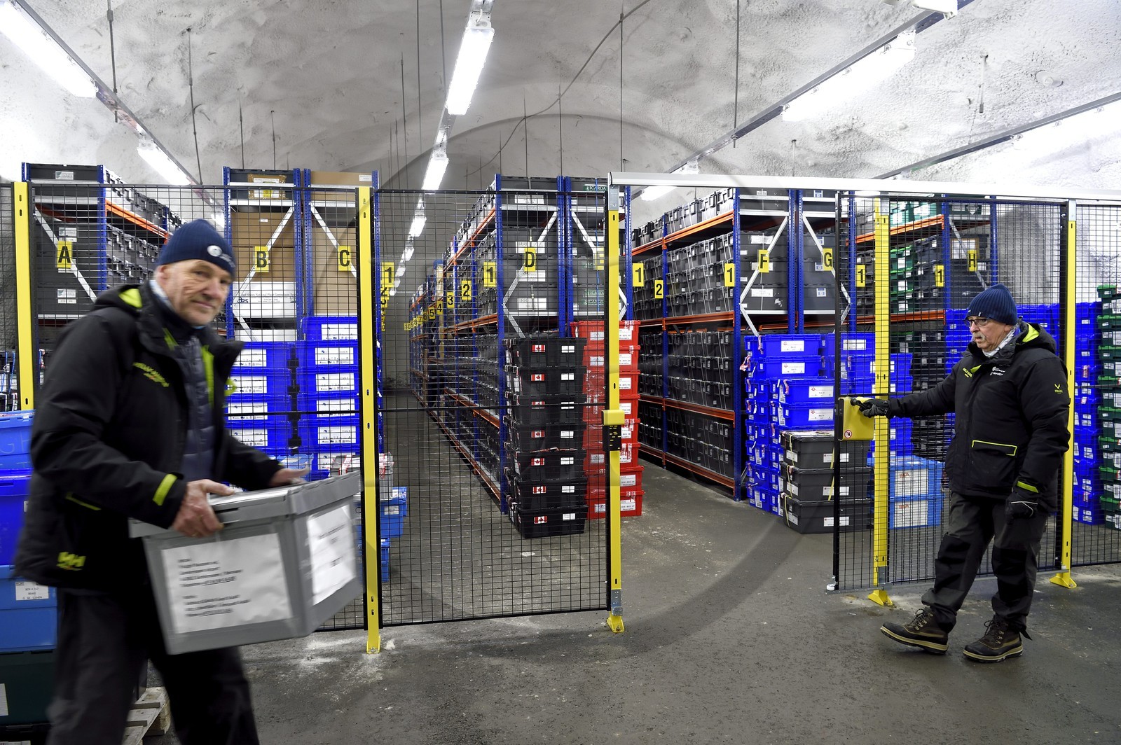 Norvège, Svalbard, Spitzberg, Longyearbyen, la Réserve mondiale de semences du Svalbard (banque de graines du Global Seed Vault), salle de stockage des semences artificiellement maintenue à -18°C, près de 900000 échantillons ont été déposés, provenant de 200 pays d'origine et de 73 instituts déposants