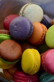 France, Haute Corse, Calvi, macaroons from the pastry Aux Gâteaux Corses