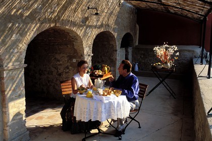 France, Var (83), Provence Verte, village de Bras vers Saint-Maximin-la-Sainte-Baume, la maison d'hôtes Le Peyrourier, une campagne en Provence