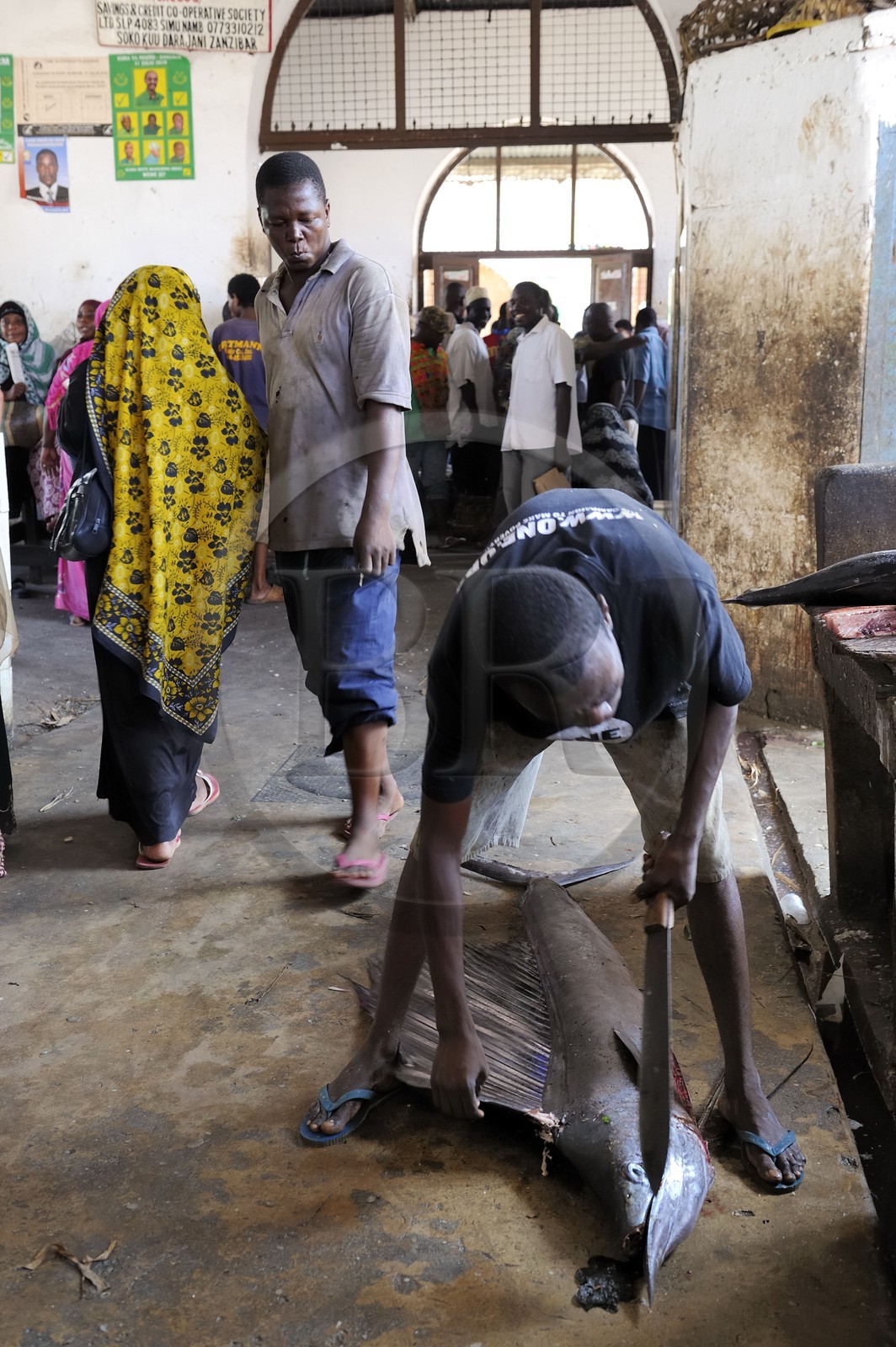 Tanzanie, Zanzibar, Stown Town, le marché de Darajani, marché au poissons