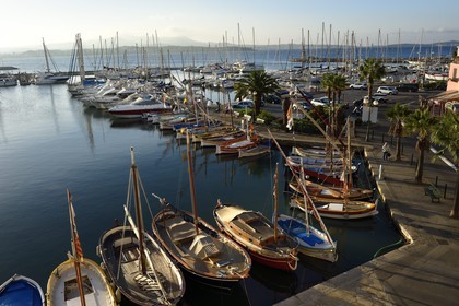 France, Var (83), Sanary-sur-Mer, barques traditionnelles de peche appelées pointus sur le port