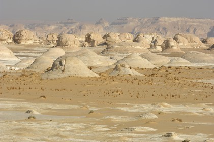 Egypte, désert libyque, le Désert Blanc au nord de Farafra