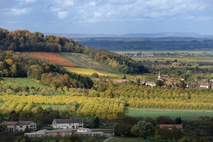 France, Meuse, Lorraine Regional Park, Cotes de Meuse, the village of Billy-sous-les-Cotes and cherry-plum trees in the Woevre plain