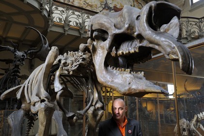 France, Paris, the Jardin des Plantes (Plants Gardens), comparative anatomy and palaeontology Galeries
