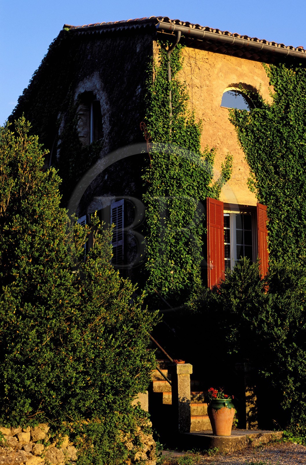 France, Var (83), Provence Verte, village de Bras vers Saint-Maximin-la-Sainte-Baume, la maison d'hôtes Le Peyrourier, une campagne en Provence