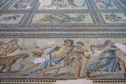 France, Bouches-du-Rhône (13), Arles, musée départemental Arles antique, détail de la mosaïque d'Aion qui est le pavement de la salle à manger d'apparat d'une riche maison de ville romaine du site de l'ancienne verrerie de Trinquetaille sur la rive droite du Rhone