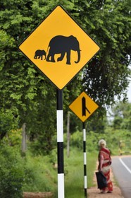Sri Lanka, Eastern Province, Trincomalee, Road sign indicating the presence of elephant