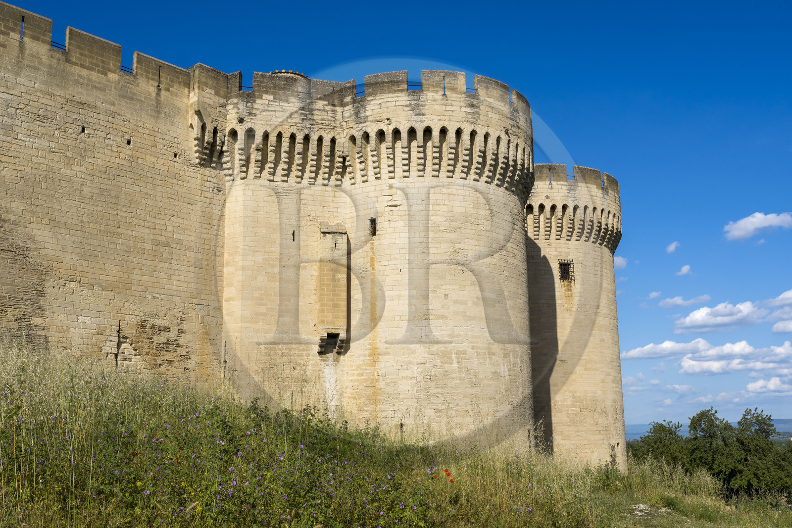France (30), Gard, Villeneuve-lès-Avignon, Fort Saint André et ses remparts