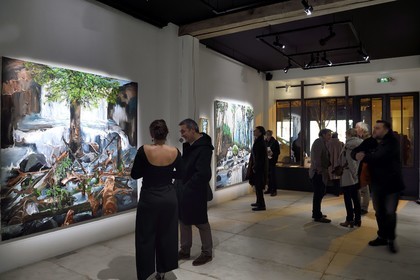 France, Paris, exhibition Germination by the artist Fred Kleinberg at the Loo & Lou Haut-Marais gallery