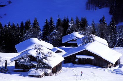 France, Haute-Savoie (74), domaine des portes du soleil, domaine skiable de Morzine