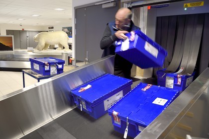 Norvège, Svalbard, Spitzberg, Longyearbyen, la Réserve mondiale de semences du Svalbard (banque de graines du Global Seed Vault), arrivée et passage des semences au controle de l'aéroport effectué par NordGen, un ours blanc polaire en arrière plan